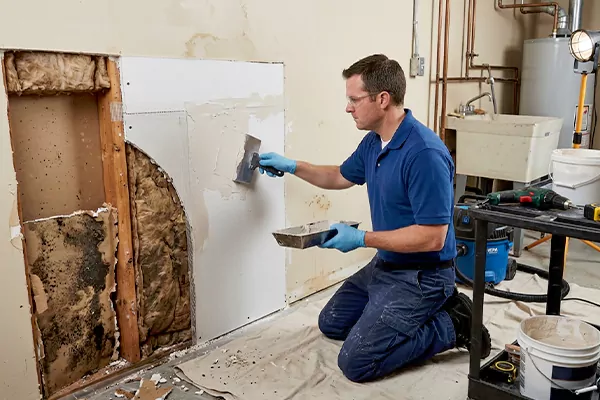Mold and Drywall Repair Hurst