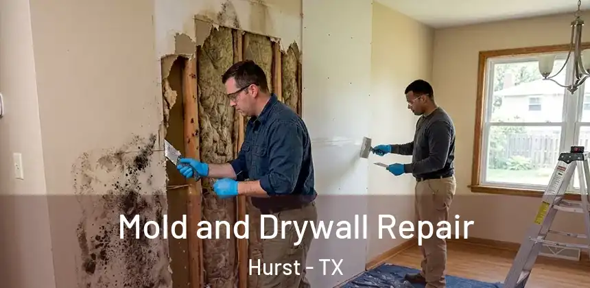Mold and Drywall Repair Hurst - TX