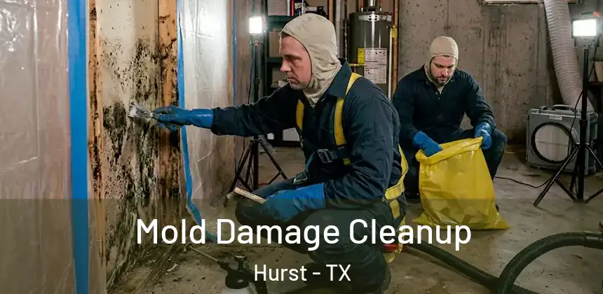  Mold Damage Cleanup Hurst - TX