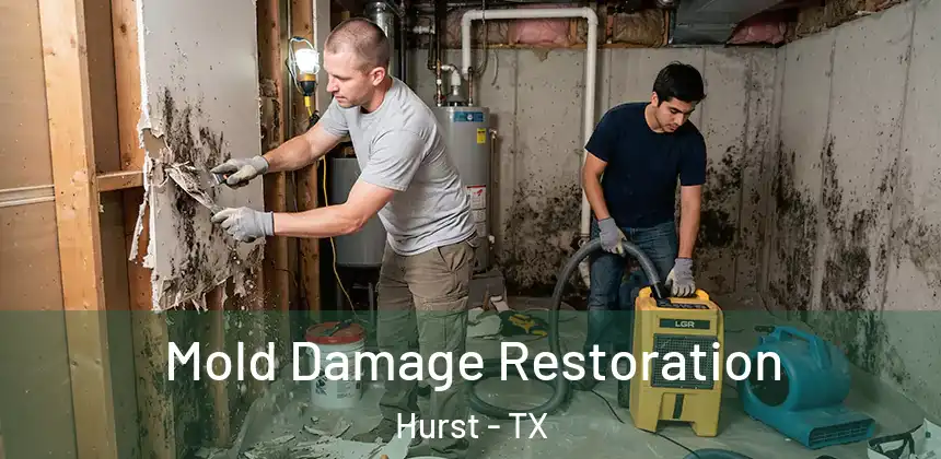 Mold Damage Restoration Hurst - TX
