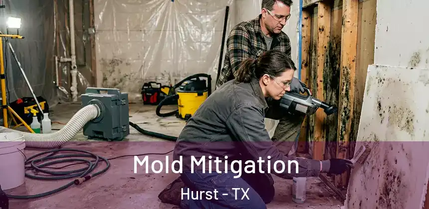  Mold Mitigation Hurst - TX