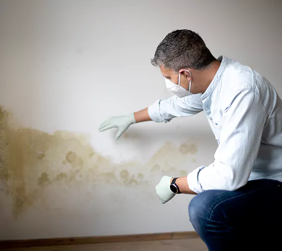 Mold Removal Service in Hurst, TX