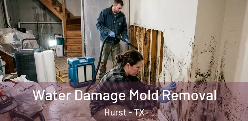 Water Damage Mold Removal Hurst - TX